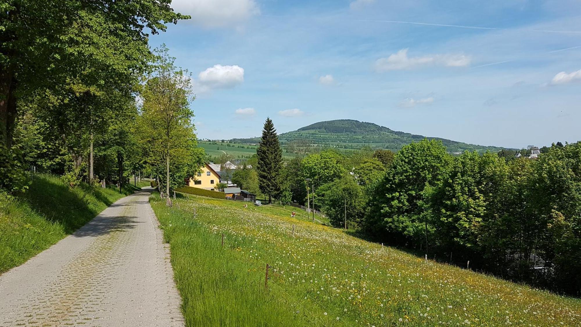 Waldhufenidyll Koenigswalde Im Erzgebirge Leilighet Konigswalde Eksteriør bilde